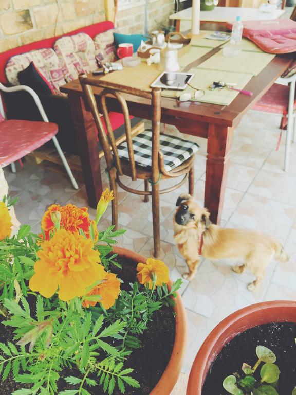 Guest House Nizama'S Place Sarajevo Ngoại thất bức ảnh